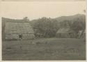 Thatched buildings