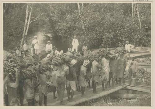 People loading bananas