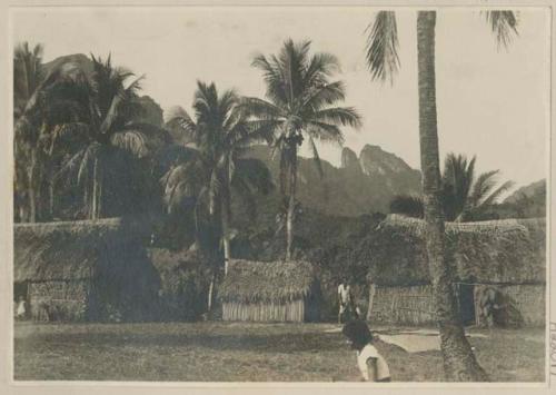 Thatched buildings