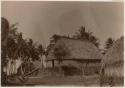 Thatched structures and palms