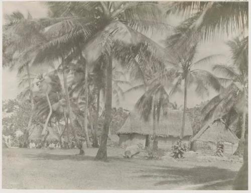 People, palms, thatched structures