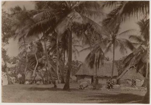 People, palms, thatched structures