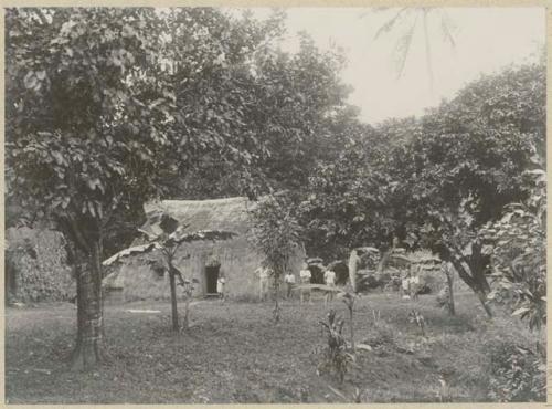 People and bicycle in front of house