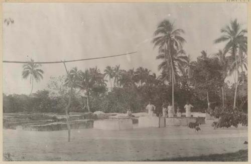 People standing by troughs