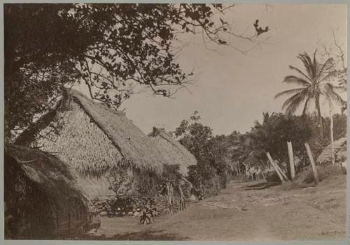 Village with thatched buildings