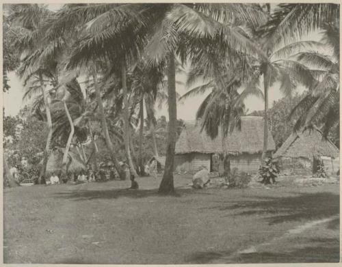 People among thatched structures and palms