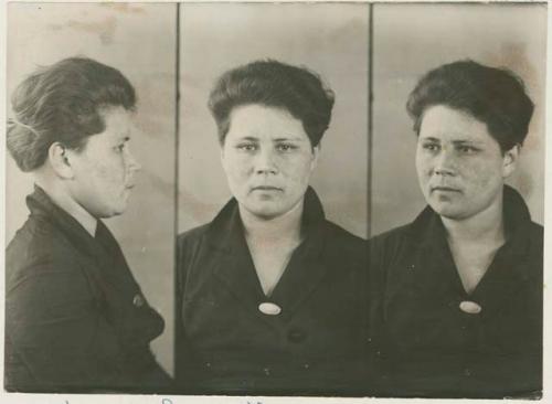 Studio portrait of a woman, three views