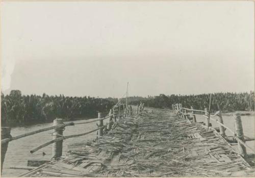 Bridge of coconut palms and bamboo, Dagupan