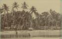 Beach scene with huts