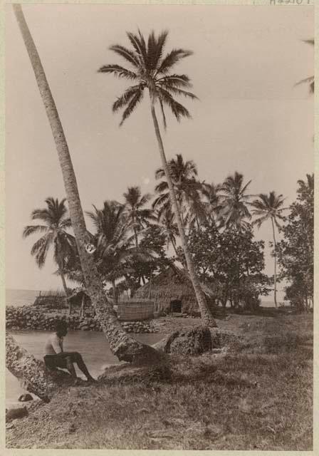 Man sitting on palm, house in background