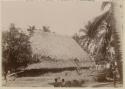 Thatched structure with people visible in foreground