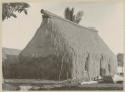 Ratu Epeli's thatched house