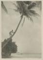 Man climbing tree