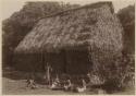 Thatched house with people in front of it preparing kava