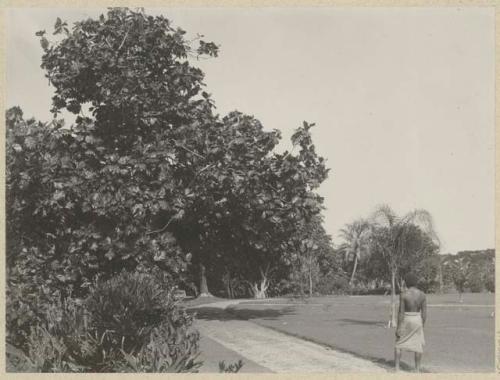 Man walking along path in park or garden