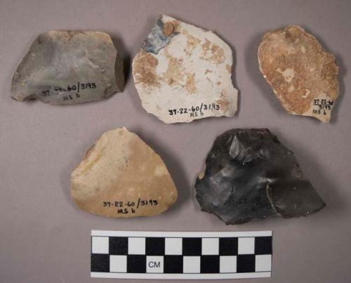 5 miscellaneous flint levallois type flakes showing signs of use