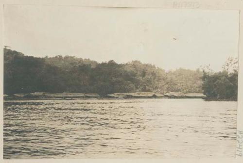 Pile dwellings along the shoreline