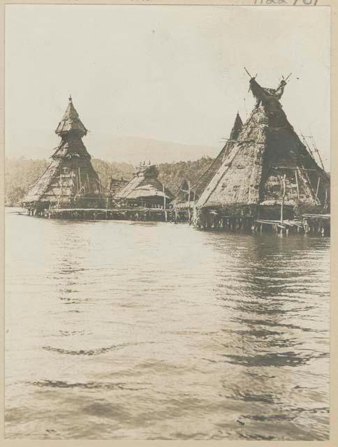 Thatched, pointed pile dwellings along shore