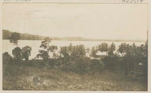 View of water and shoreline