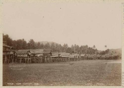 Row of buildings in front of jungle