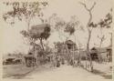 People among trees with thatched structures in branches