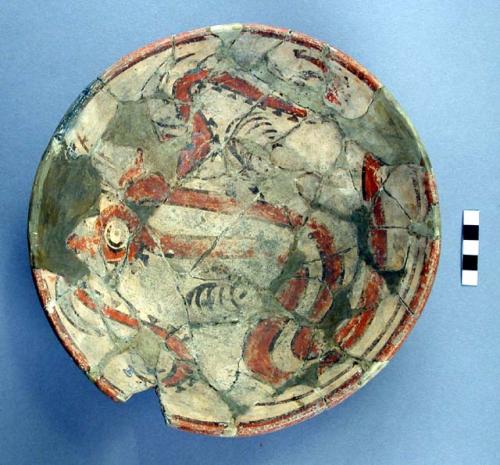 Polychrome plate