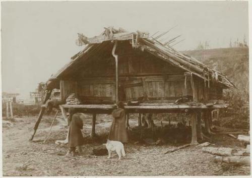 Hut at Arkova