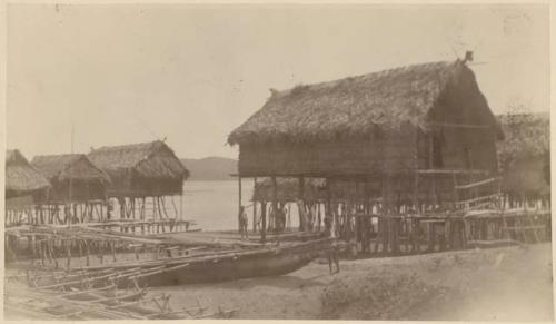 Pile dwelling on shore