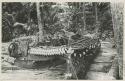 Front of outrigger canoe, decorated with kula shells