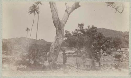 Group of people standing under a tree