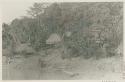 Houses and wooden structures on shore