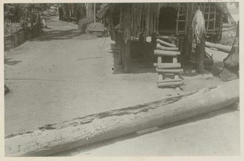 Carved log and ladder to hut on stilts