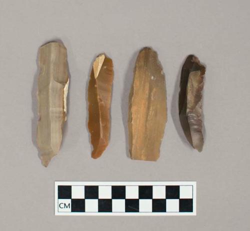 Chipped stone blades, microliths, and possible projectile points