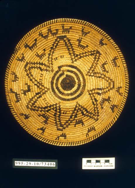 Coiled bowl with flower and animal motif