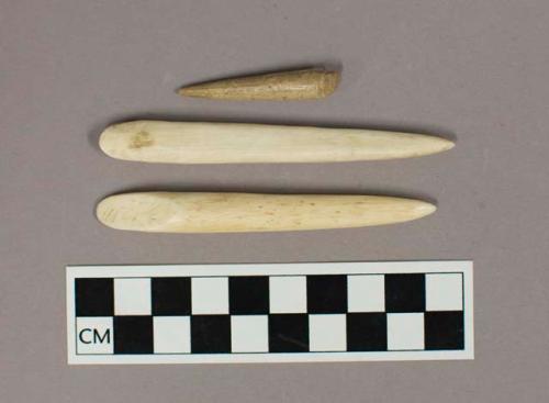 Bone points, some possibly modern