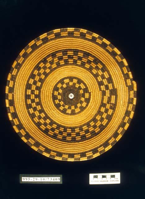 Coiled bowl with checkerboard motif
