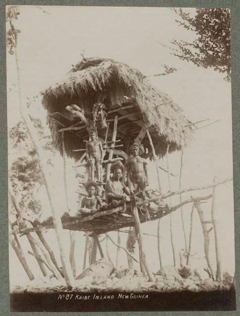 Men on platform under treehouse