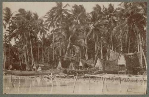 Palm trees, houses on shoreline, canoes suspended above water