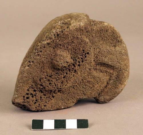 Stone head of bird