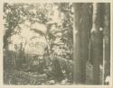 Group of women and children inside forest enclosure