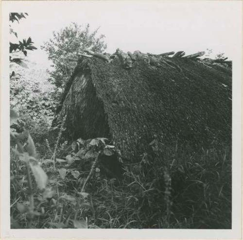 Back of men's hut