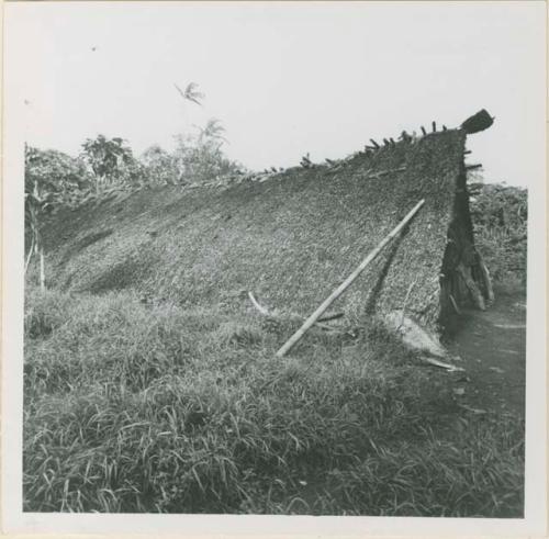 Side view of principal men's hut