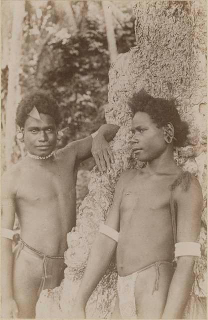 Two boys standing next to a tree