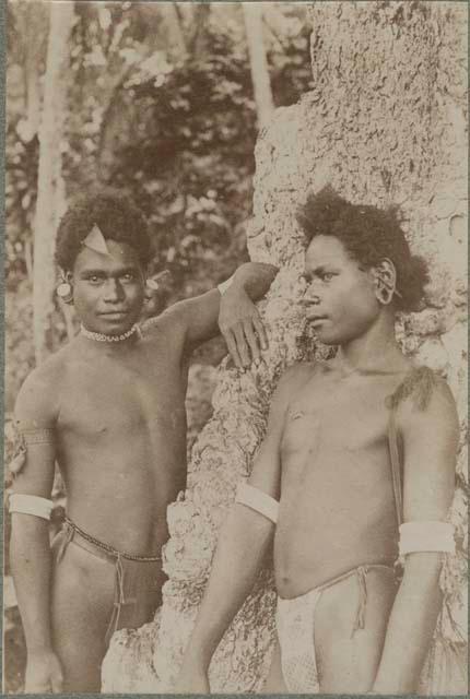 Two boys standing next to a tree