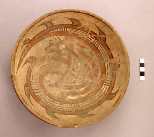Polychrome pottery bowl with ring base - Cocle type