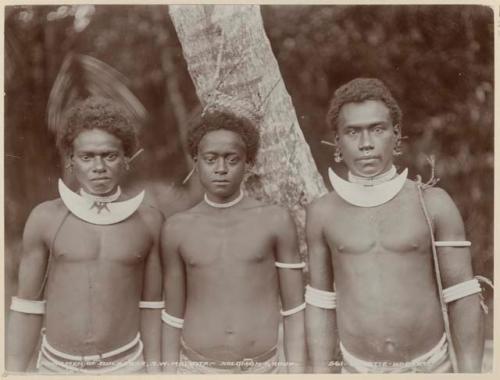 Three men standing in front of a tree