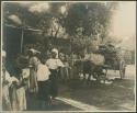 People, carabao-cart transporting bundles