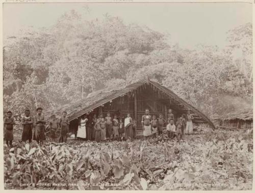 Chief's house at Ruapu