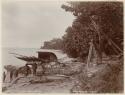 Men and children in front of outrigger canoe on beach at Nukapu