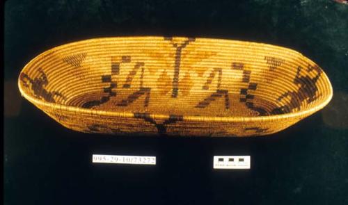 Coiled oval basket of grass bundles with reptilian motifs